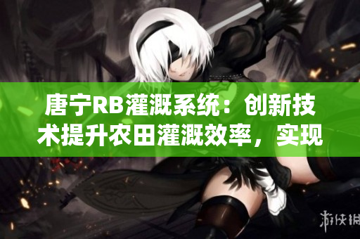 唐寧RB灌溉系統(tǒng)：創(chuàng)新技術提升農(nóng)田灌溉效率，實現(xiàn)作物健康生長