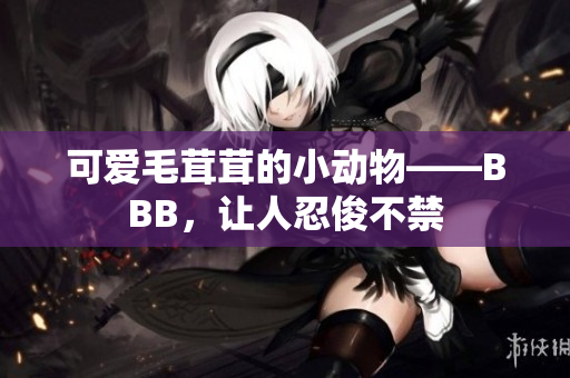 可愛毛茸茸的小動物——BBB，讓人忍俊不禁