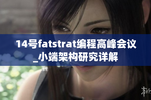 14號fatstrat編程高峰會議_小端架構(gòu)研究詳解