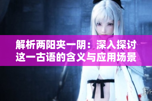 解析兩陽夾一陰：深入探討這一古語的含義與應(yīng)用場景