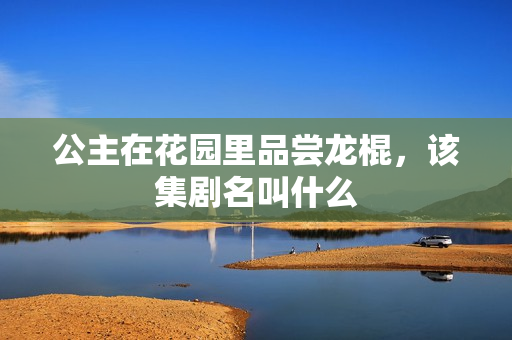 公主在花園里品嘗龍棍，該集劇名叫什么