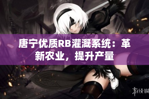 唐寧優(yōu)質(zhì)RB灌溉系統(tǒng)：革新農(nóng)業(yè)，提升產(chǎn)量