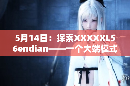 5月14日：探索XXXXXL56endian——一個(gè)大端模式的簡(jiǎn)介