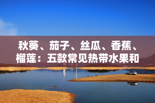 秋葵、茄子、絲瓜、香蕉、榴蓮：五款常見熱帶水果和蔬菜的養(yǎng)生功效大揭秘