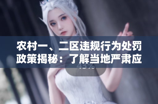 農(nóng)村一、二區(qū)違規(guī)行為處罰政策揭秘：了解當(dāng)?shù)貒?yán)肅應(yīng)對方法