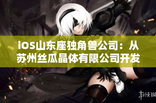 iOS山東座獨(dú)角獸公司：從蘇州絲瓜晶體有限公司開(kāi)發(fā)到成功的跨國(guó)之路