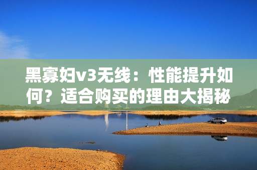 黑寡婦v3無線：性能提升如何？適合購買的理由大揭秘