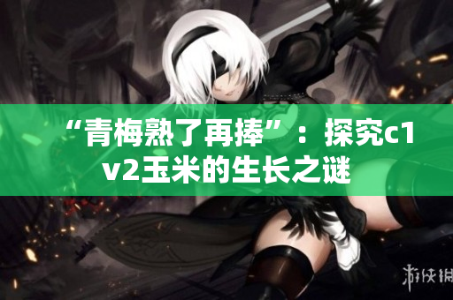 “青梅熟了再捧”：探究c1v2玉米的生長之謎