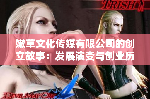 嫩草文化傳媒有限公司的創(chuàng)立故事：發(fā)展演變與創(chuàng)業(yè)歷程回顧