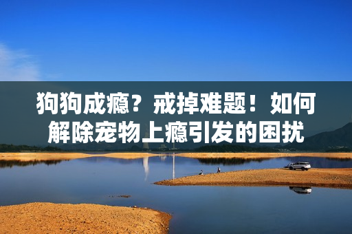 狗狗成癮？戒掉難題！如何解除寵物上癮引發(fā)的困擾