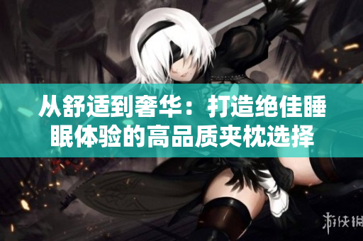 從舒適到奢華：打造絕佳睡眠體驗(yàn)的高品質(zhì)夾枕選擇