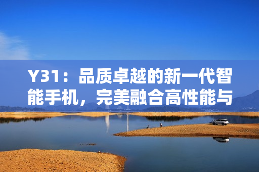 Y31：品質卓越的新一代智能手機，完美融合高性能與時尚設計