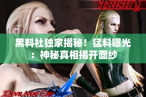 黑料社獨(dú)家揭秘！猛料曝光：神秘真相揭開面紗