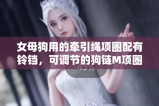 女母狗用的牽引繩項(xiàng)圈配有鈴鐺，可調(diào)節(jié)的狗鏈M項(xiàng)圈款式