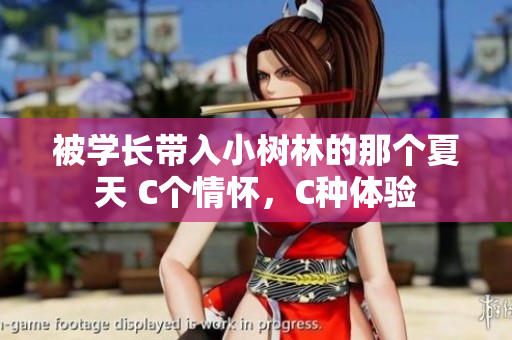 被學(xué)長帶入小樹林的那個夏天 C個情懷，C種體驗