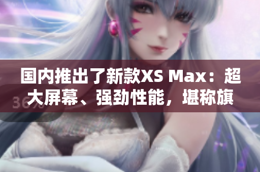 國內(nèi)推出了新款XS Max：超大屏幕、強勁性能，堪稱旗艦之選