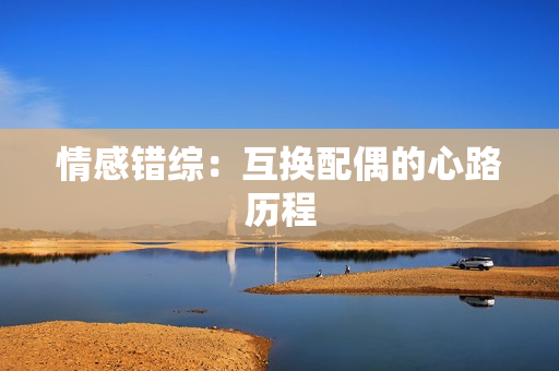 情感錯(cuò)綜：互換配偶的心路歷程