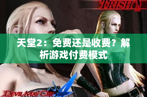 天堂2：免費(fèi)還是收費(fèi)？解析游戲付費(fèi)模式