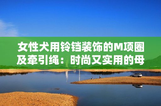 女性犬用鈴鐺裝飾的M項(xiàng)圈及牽引繩：時(shí)尚又實(shí)用的母狗配飾