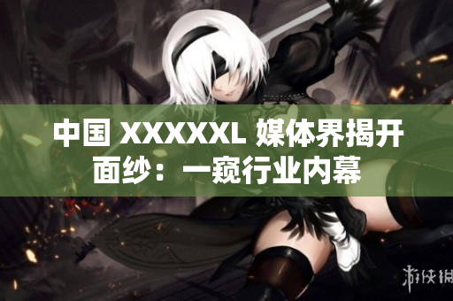 中國(guó) XXXXXL 媒體界揭開(kāi)面紗：一窺行業(yè)內(nèi)幕