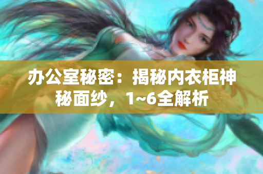 辦公室秘密：揭秘內(nèi)衣柜神秘面紗，1~6全解析