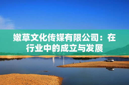 嫩草文化傳媒有限公司：在行業(yè)中的成立與發(fā)展