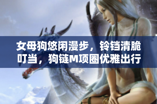 女母狗悠閑漫步，鈴鐺清脆叮當(dāng)，狗鏈M項(xiàng)圈優(yōu)雅出行