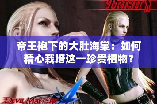 帝王袍下的大肚海棠：如何精心栽培這一珍貴植物？