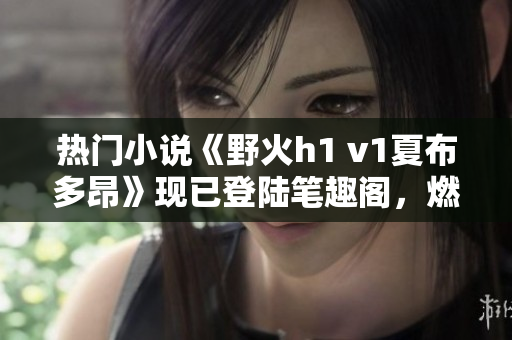 熱門小說《野火h1 v1夏布多昂》現(xiàn)已登陸筆趣閣，燃情故事引發(fā)閱讀狂潮！