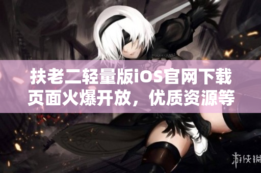 扶老二輕量版iOS官網(wǎng)下載頁面火爆開放，優(yōu)質(zhì)資源等你探索