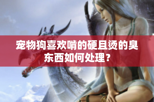 寵物狗喜歡啃的硬且燙的臭東西如何處理？