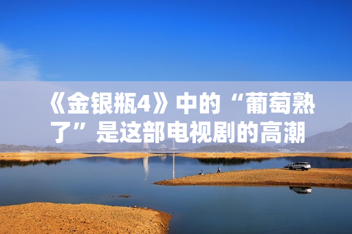 《金銀瓶4》中的“葡萄熟了”是這部電視劇的高潮