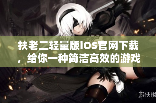 扶老二輕量版iOS官網(wǎng)下載，給你一種簡(jiǎn)潔高效的游戲體驗(yàn)。