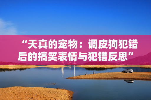 “天真的寵物：調(diào)皮狗犯錯(cuò)后的搞笑表情與犯錯(cuò)反思”