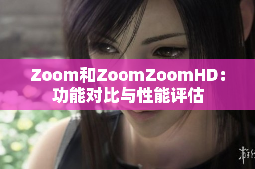 Zoom和ZoomZoomHD：功能對(duì)比與性能評(píng)估