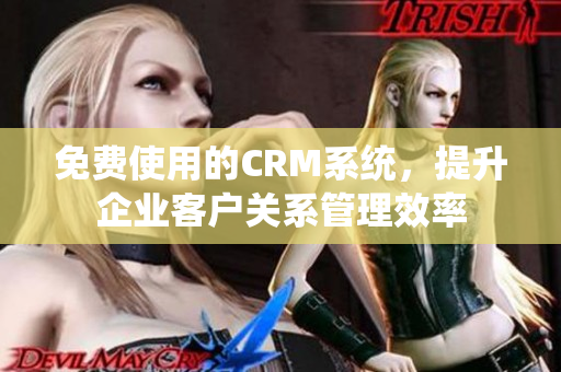 免費(fèi)使用的CRM系統(tǒng)，提升企業(yè)客戶關(guān)系管理效率