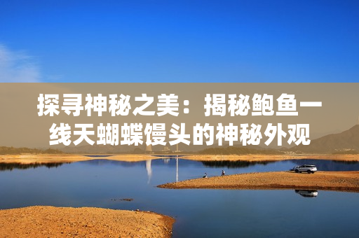 探尋神秘之美：揭秘鮑魚一線天蝴蝶饅頭的神秘外觀