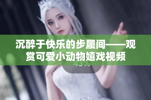 沉醉于快樂的步履間——觀賞可愛小動物嬉戲視頻