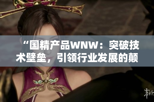 “國精產(chǎn)品WNW：突破技術(shù)壁壘，引領(lǐng)行業(yè)發(fā)展的顛覆性創(chuàng)新”