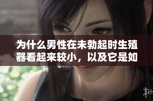 為什么男性在未勃起時生殖器看起來較小，以及它是如何變化的？