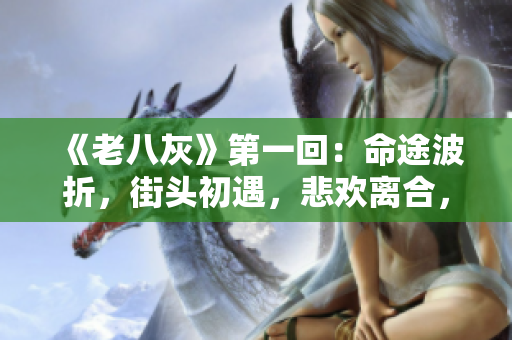 《老八灰》第一回：命途波折，街頭初遇，悲歡離合，人生起伏