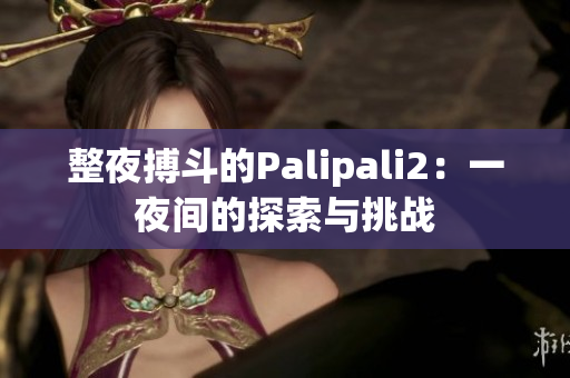 整夜搏斗的Palipali2：一夜間的探索與挑戰(zhàn)