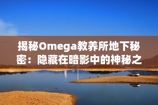 揭秘Omega教養(yǎng)所地下秘密：隱藏在暗影中的神秘之謎