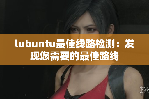 lubuntu最佳線路檢測：發(fā)現(xiàn)您需要的最佳路線