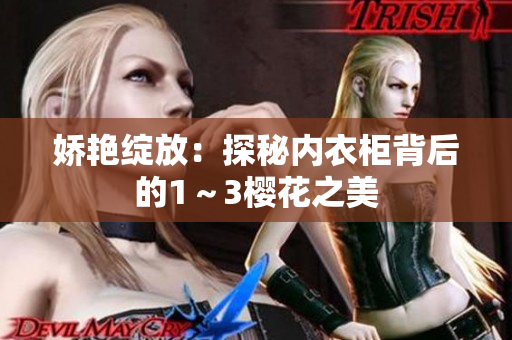 嬌艷綻放：探秘內(nèi)衣柜背后的1～3櫻花之美