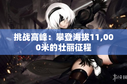 挑戰(zhàn)高峰：攀登海拔11,000米的壯麗征程