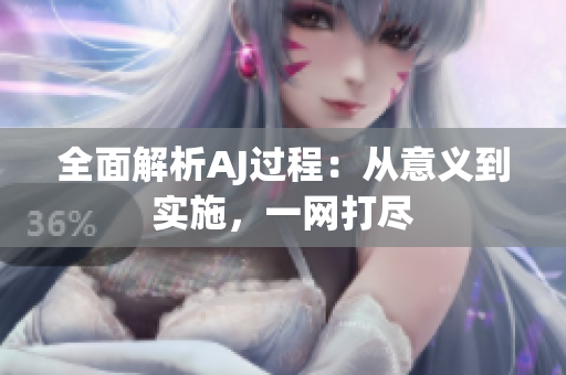 全面解析AJ過程：從意義到實施，一網(wǎng)打盡