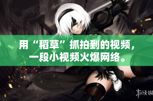用“稻草”抓拍到的視頻，一段小視頻火爆網(wǎng)絡(luò)。