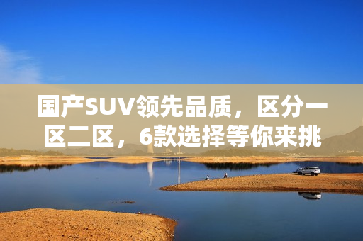 國(guó)產(chǎn)SUV領(lǐng)先品質(zhì)，區(qū)分一區(qū)二區(qū)，6款選擇等你來(lái)挑!