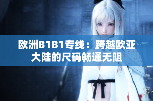 歐洲B1B1專線：跨越歐亞大陸的尺碼暢通無阻